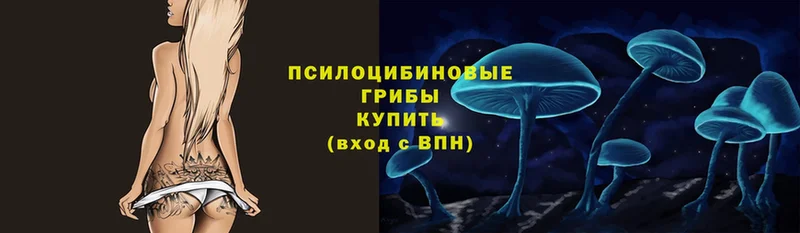 Псилоцибиновые грибы Magic Shrooms  Емва 